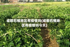 成都石楠地区有疫情吗(成都石楠地区有疫情吗今天)