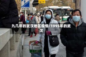 九几年的武汉地区疫情/1995年的武汉