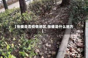 【张槎是否疫情地区,张槎是什么地方】