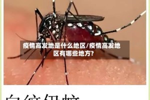 疫情高发地是什么地区/疫情高发地区有哪些地方?