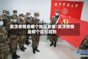 武汉疫情是哪个地区发病/武汉疫情是那个区引起的