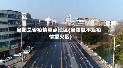 阜阳是否疫情重点地区(阜阳算不算疫情重灾区)-第3张图片