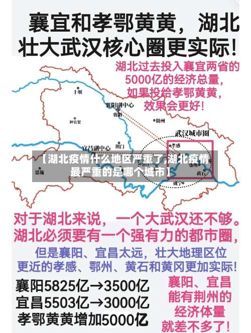 【湖北疫情什么地区严重了,湖北疫情最严重的是哪个城市】-第2张图片