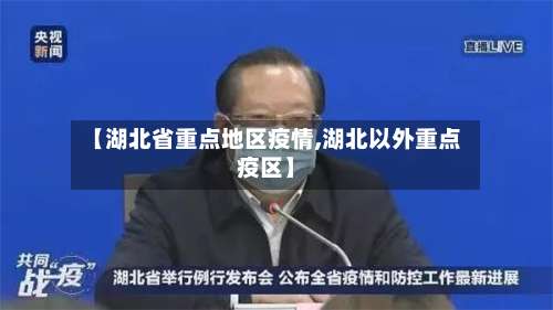【湖北省重点地区疫情,湖北以外重点疫区】-第3张图片