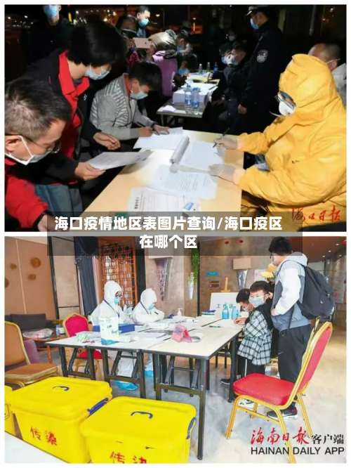 海口疫情地区表图片查询/海口疫区在哪个区-第2张图片