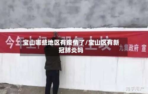 宝山哪些地区有疫情了/宝山区有新冠肺炎吗-第2张图片