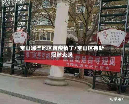 宝山哪些地区有疫情了/宝山区有新冠肺炎吗-第1张图片