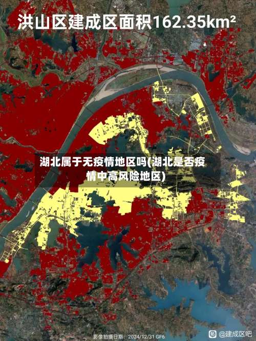 湖北属于无疫情地区吗(湖北是否疫情中高风险地区)-第2张图片