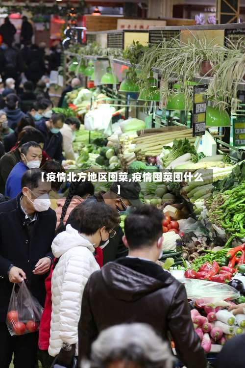 【疫情北方地区囤菜,疫情囤菜囤什么】-第1张图片
