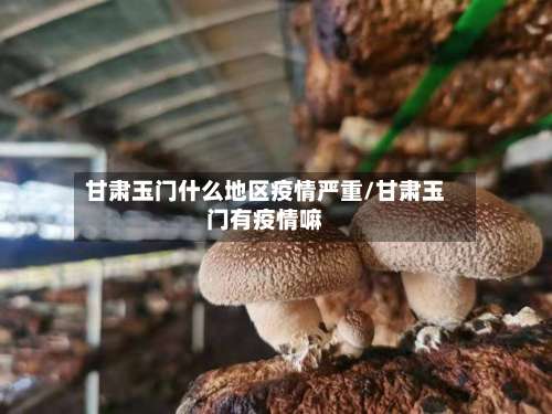 甘肃玉门什么地区疫情严重/甘肃玉门有疫情嘛-第3张图片