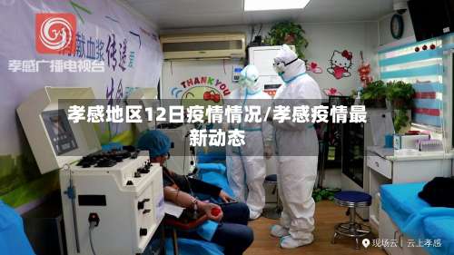 孝感地区12日疫情情况/孝感疫情最新动态-第3张图片