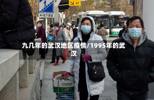 九几年的武汉地区疫情/1995年的武汉-第1张图片
